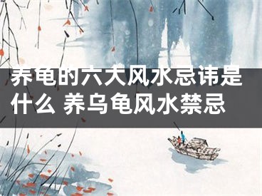 养龟的六大风水忌讳是什么 养乌龟风水禁忌