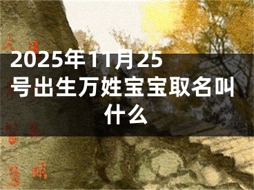 2025年11月25号出生万姓宝宝取名叫什么