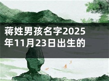 蒋姓男孩名字2025年11月23日出生的