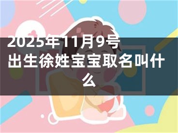 2025年11月9号出生徐姓宝宝取名叫什么