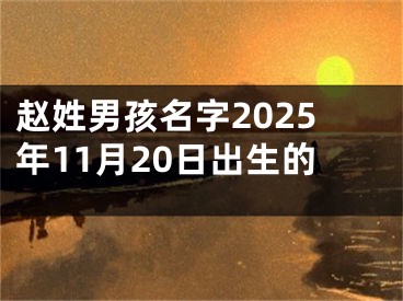 赵姓男孩名字2025年11月20日出生的