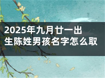 2025年九月廿一出生陈姓男孩名字怎么取