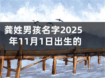 龚姓男孩名字2025年11月1日出生的