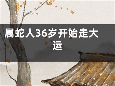 属蛇人36岁开始走大运