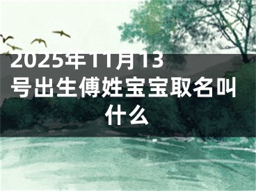 2025年11月13号出生傅姓宝宝取名叫什么