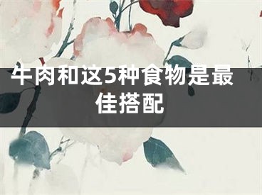 牛肉和这5种食物是最佳搭配
