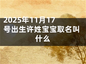 2025年11月17号出生许姓宝宝取名叫什么