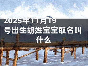 2025年11月19号出生胡姓宝宝取名叫什么
