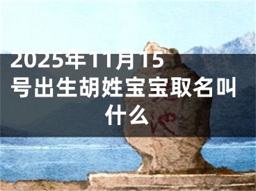 2025年11月15号出生胡姓宝宝取名叫什么