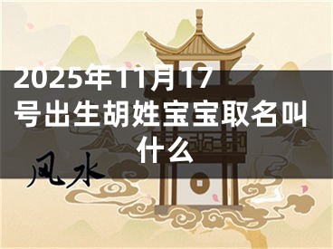 2025年11月17号出生胡姓宝宝取名叫什么