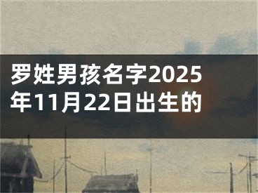 罗姓男孩名字2025年11月22日出生的