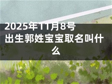 2025年11月8号出生郭姓宝宝取名叫什么
