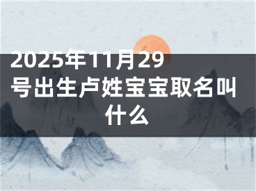 2025年11月29号出生卢姓宝宝取名叫什么