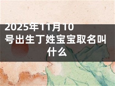 2025年11月10号出生丁姓宝宝取名叫什么