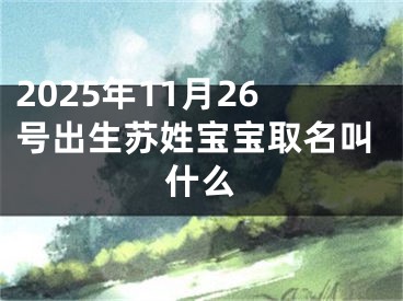 2025年11月26号出生苏姓宝宝取名叫什么