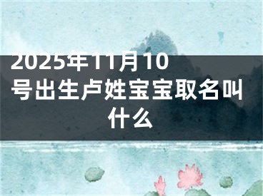 2025年11月10号出生卢姓宝宝取名叫什么