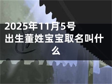 2025年11月5号出生董姓宝宝取名叫什么