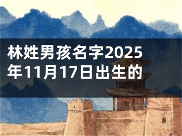 林姓男孩名字2025年11月17日出生的