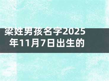 梁姓男孩名字2025年11月7日出生的