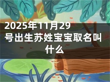 2025年11月29号出生苏姓宝宝取名叫什么