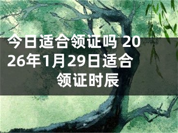 今日适合领证吗 2026年1月29日适合领证时辰