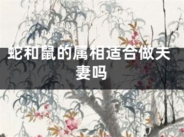 蛇和鼠的属相适合做夫妻吗
