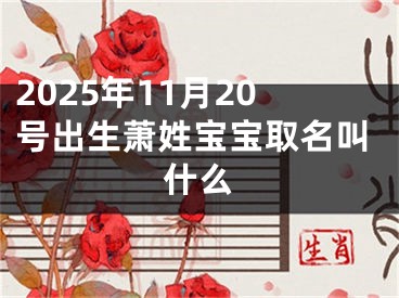 2025年11月20号出生萧姓宝宝取名叫什么