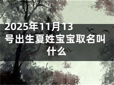 2025年11月13号出生夏姓宝宝取名叫什么