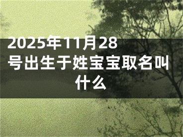 2025年11月28号出生于姓宝宝取名叫什么