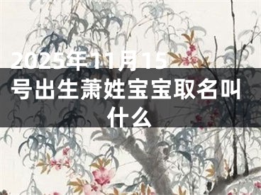 2025年11月15号出生萧姓宝宝取名叫什么