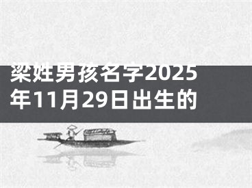 梁姓男孩名字2025年11月29日出生的