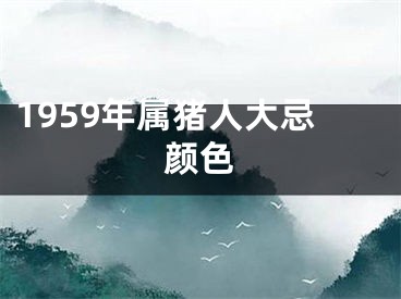 1959年属猪人大忌颜色