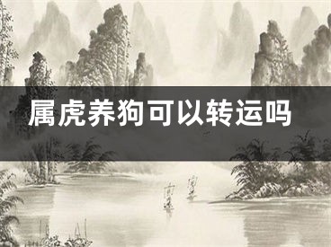 属虎养狗可以转运吗