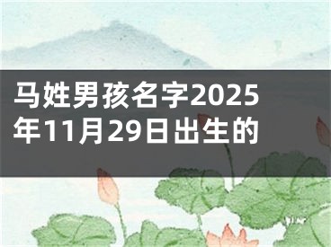 马姓男孩名字2025年11月29日出生的