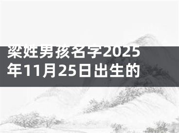 梁姓男孩名字2025年11月25日出生的