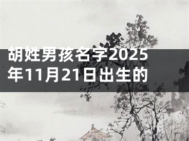 胡姓男孩名字2025年11月21日出生的