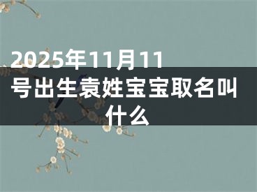 2025年11月11号出生袁姓宝宝取名叫什么