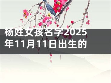 杨姓女孩名字2025年11月11日出生的