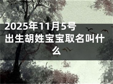 2025年11月5号出生胡姓宝宝取名叫什么