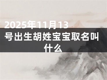 2025年11月13号出生胡姓宝宝取名叫什么