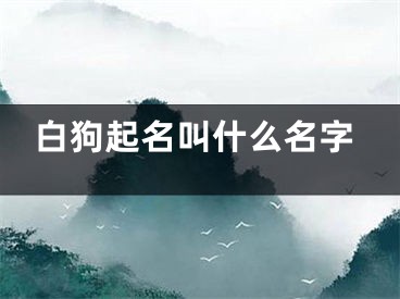 白狗起名叫什么名字