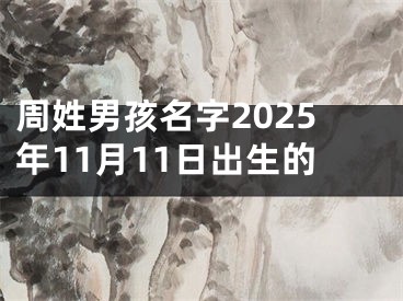 周姓男孩名字2025年11月11日出生的