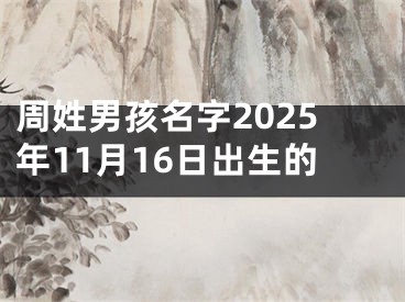 周姓男孩名字2025年11月16日出生的
