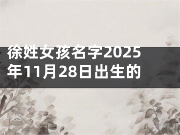 徐姓女孩名字2025年11月28日出生的