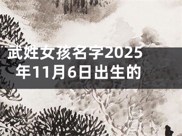 武姓女孩名字2025年11月6日出生的