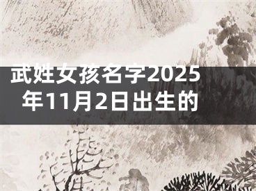 武姓女孩名字2025年11月2日出生的