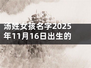 汤姓女孩名字2025年11月16日出生的