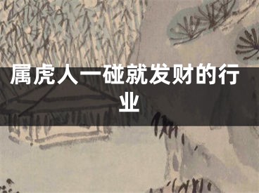 属虎人一碰就发财的行业