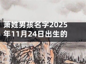 萧姓男孩名字2025年11月24日出生的