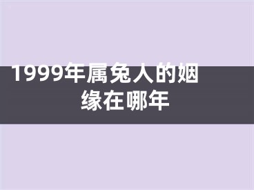 1999年属兔人的姻缘在哪年